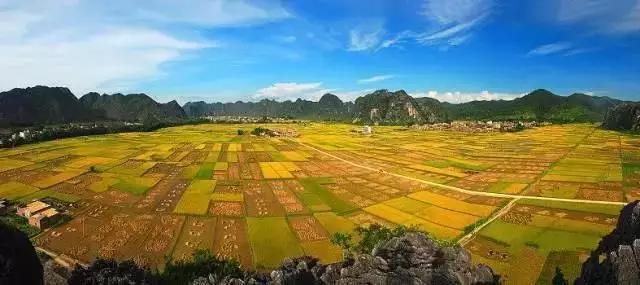 中國(guó)經(jīng)濟(jì)體制改革基金會(huì)全國(guó)第一！中國(guó)改革熱度第三方評(píng)估出爐，云浮宣傳系數(shù)在全國(guó)343個(gè)城市居首位                             