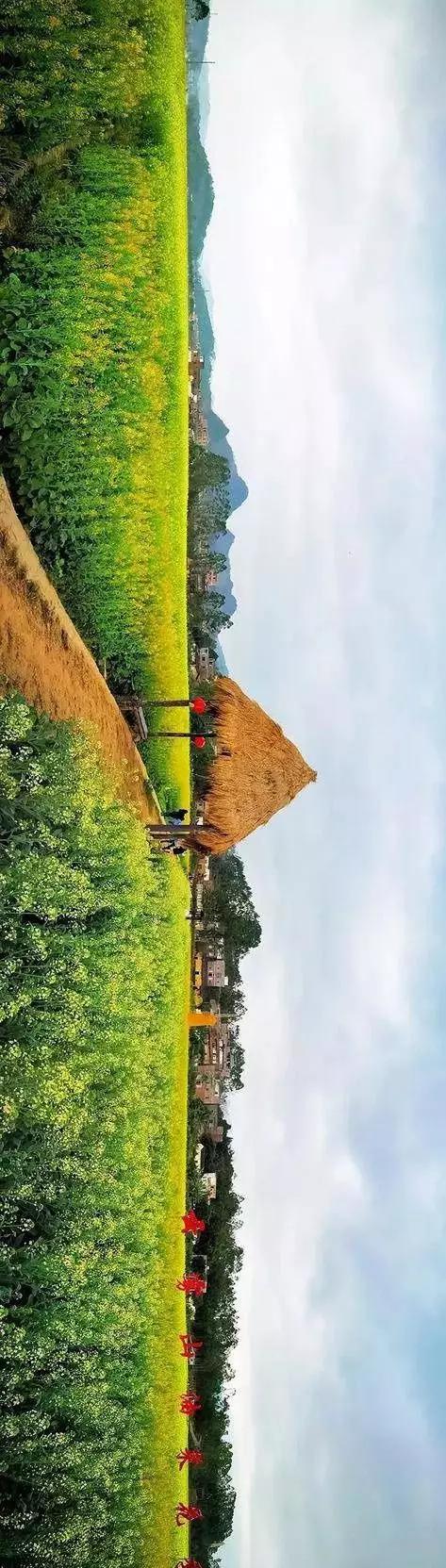 中國(guó)經(jīng)濟(jì)體制改革基金會(huì)全國(guó)第一！中國(guó)改革熱度第三方評(píng)估出爐，云浮宣傳系數(shù)在全國(guó)343個(gè)城市居首位                             